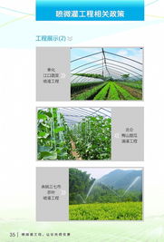 節水增效，智慧灌溉——寧波市水利局噴微灌技術推廣應用宣傳冊